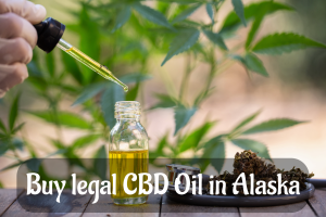 Buy legal CBD Oil in Alaska