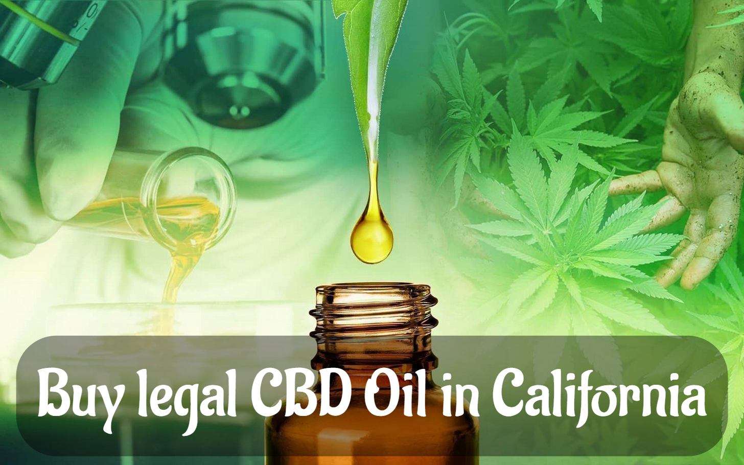 Buy legal CBD Oil in California