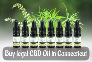 Buy legal CBD Oil in Connecticut