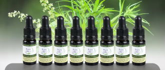 Buy legal CBD Oil in Connecticut