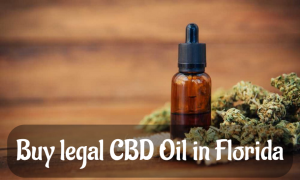 Buy legal CBD Oil in Florida