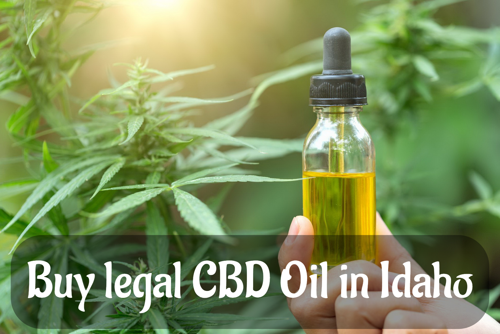 Buy legal CBD Oil in Idaho