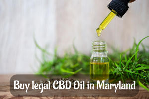 Buy legal CBD Oil in Maryland