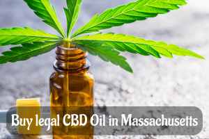 Buy legal CBD Oil in Massachusetts