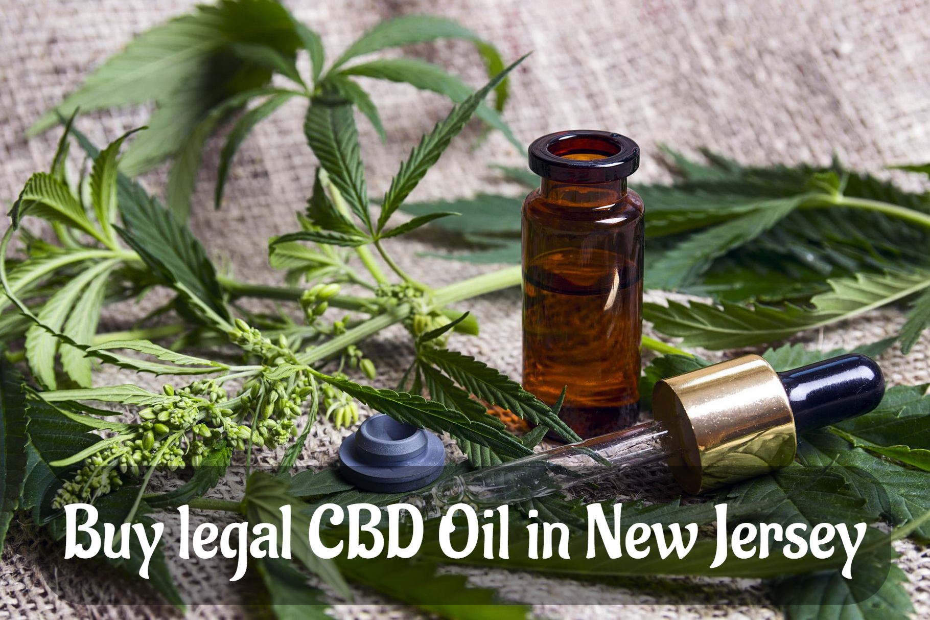 Buy legal CBD Oil in New Jersey