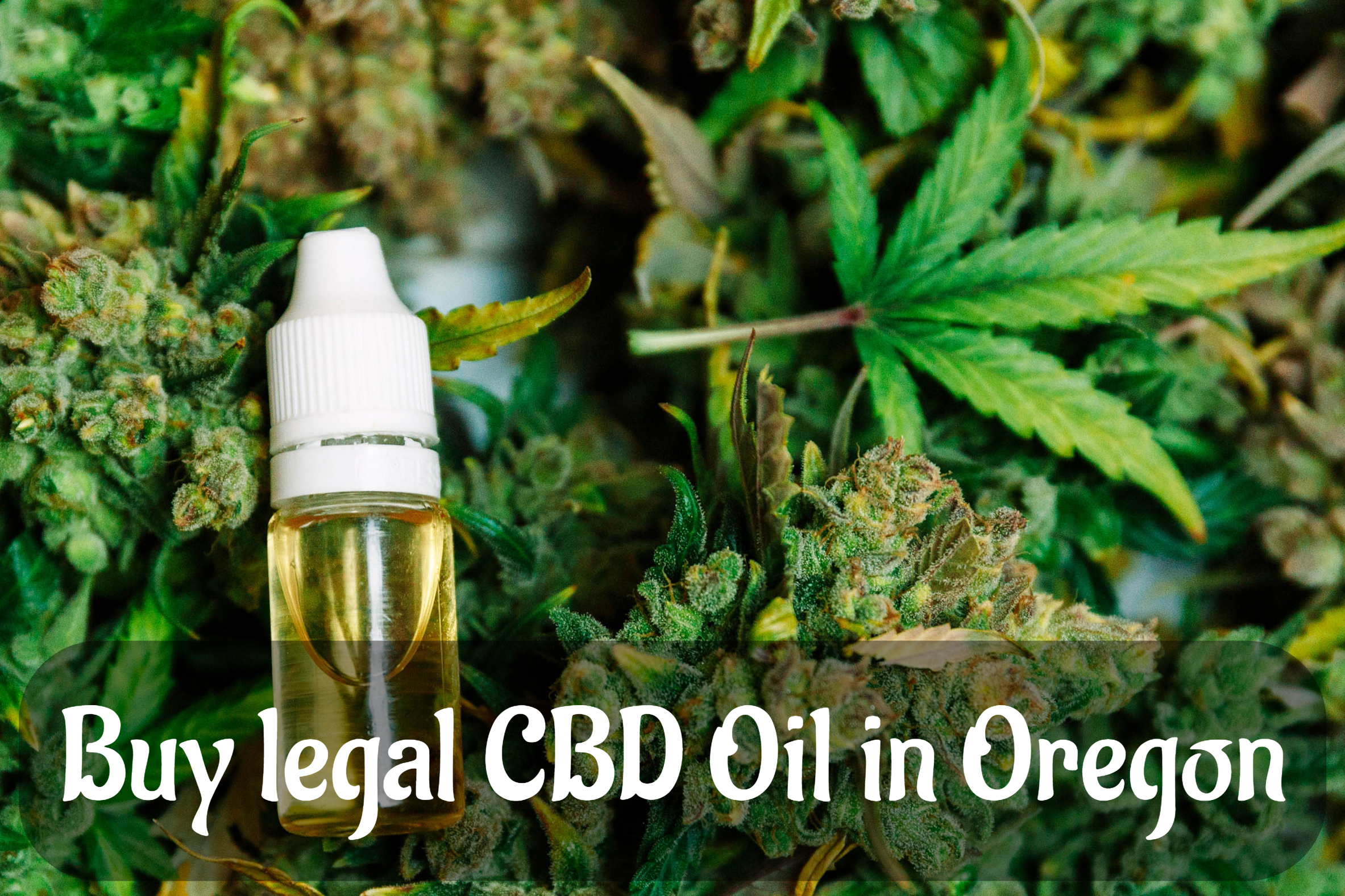 Buy legal CBD Oil in Oregon